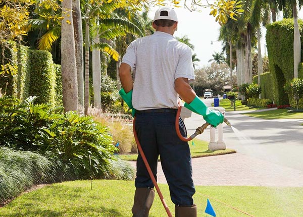 About Savanna OK Pest Control